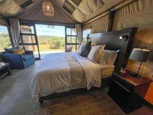 阿多Charihandra Game Lodge的一间卧室配有一张床、一张沙发和一个窗口