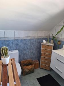 圣保罗La Plaine-itude & Spa的浴室配有卫生间、水槽和仙人掌