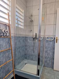 圣保罗La Plaine-itude & Spa的浴室里设有梯子淋浴