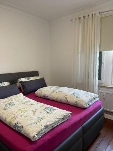 腓特烈港Casa Pinos City的两张睡床彼此相邻,位于一个房间里