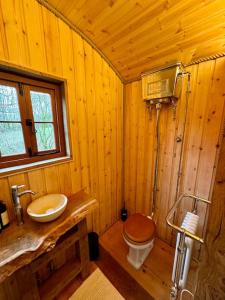 Shepherds Hut/Hot Tub Private Lake Jurassic Coast的一间浴室