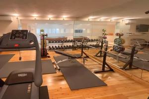 马贝拉Villa Zacaluca Pool Whirlpool Sauna & Gym - Happy Rentals的一个带跑步机和许多设备的健身房