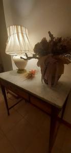 AlannoL'ulivo b&b的一张桌子,上面有台灯和植物