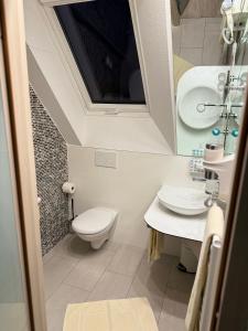汉诺威哈泽酒店的一间带卫生间、水槽和镜子的浴室