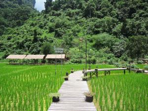 万荣Vang Vieng Sky Mountain View Hotel的穿过绿草的木道