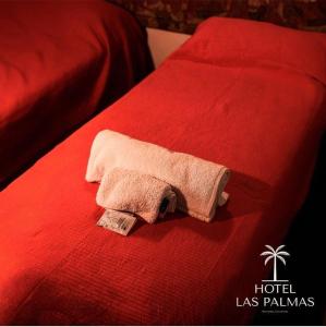 梅赛德斯Las Palmas的毛巾坐在红色的床上