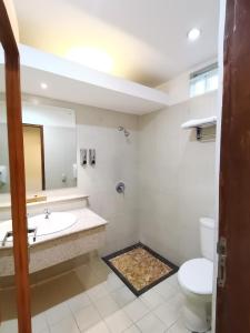 马格朗Hotel Catur Putra的一间带水槽、卫生间和镜子的浴室