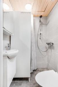赫尔辛基Centrum - Lovely furnished Studio的带淋浴、卫生间和盥洗盆的浴室