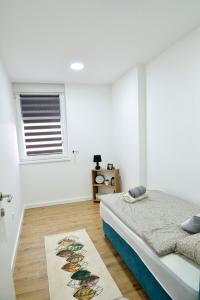 Nova PazovaCentar lux的一间卧室设有床、窗户和地毯。