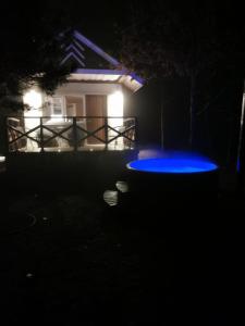VērgaleLīdumnieki的夜晚在房子前面的蓝色飞盘