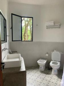 圣洛伦索La Justina - Casa de Campo en San Lorenzo的一间带卫生间、水槽和窗户的浴室