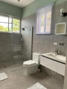 圣玛丽Crystal Resort的浴室配有卫生间、盥洗盆和淋浴。