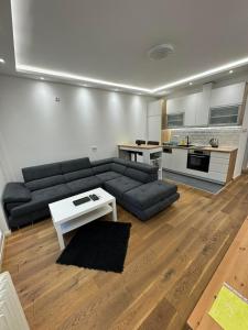 贝尔格莱德Apartment, Stari Grad, Belgrade的客厅配有沙发和桌子