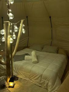 维拉卡洛斯帕兹ESPACIO AMAITÀ的帐篷内的一张床位,配有灯光和灯