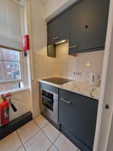 伦敦Baker Street Suites的一间带水槽和炉灶的小厨房