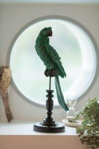 马尔利勒鲁瓦Le Logis d'Origine.的镜子前的绿色鹦鹉