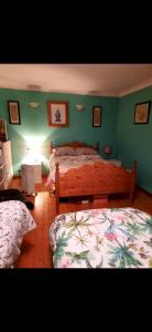 利默里克Stay With Jack的一间卧室设有两张床和绿色的墙壁