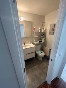 马德里Habitación privada en piso compartido Madrid的一间带卫生间和水槽的浴室