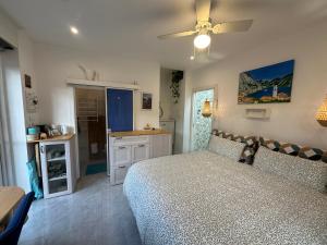 利莫内-苏尔加达B&B Casa Limone的一间卧室配有一张床和吊扇