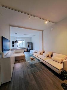 赫尔辛基Renovated 64m2 apartment的带沙发的客厅和厨房