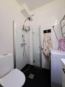 赫尔辛基Renovated 64m2 apartment的带淋浴和卫生间的白色浴室