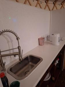 戈尔韦The Snowdrop的厨房内带水槽的厨房台面