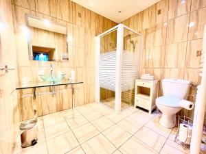 梅屈埃斯Le Relais des Anges的一间带卫生间和水槽的浴室