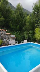 马拉泰亚Villa Lilly的蓝色的游泳池,带两把椅子和树木