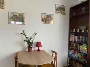 普瓦维Apartament przy Parku Czartoryskich的书架房间的一张桌子