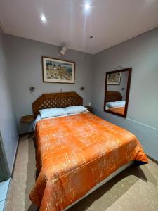伊基克Hotel Casa del profesor Iquique的一间卧室配有一张大床和镜子