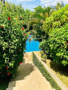 马那瓜Los Vados Hotel的一条有鲜花的小径和一个游泳池