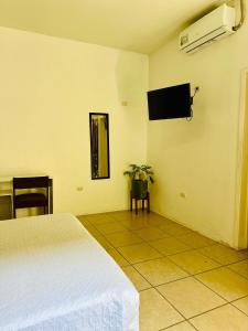马那瓜Los Vados Hotel的卧室配有一张床,墙上配有电视。