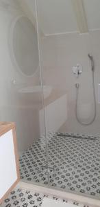 拉斯托伏Guesthouse Augusta Insula的浴室里设有玻璃门淋浴