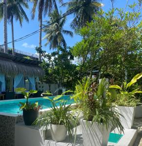 卢纳将军城Siargao Residency by Privacy Group的一个带游泳池和棕榈树的度假村