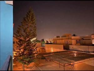 努瓦克肖特Atlantis的建筑物屋顶上的圣诞树