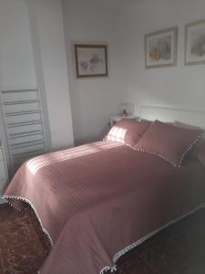 普拉多德尔雷Aires de Grazalema的一张带粉红色床罩的床和墙上的两张照片