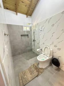 圣地亚哥洛斯卡巴Richie’s House En Licey Al Medio的一间带卫生间和淋浴的浴室
