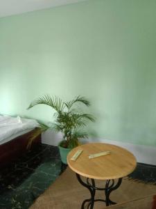 贡布La plage by lee & hap guest house的一张桌子,一张桌子,一张桌子和一棵植物