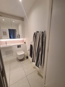 伦敦Cozy Urban Retreat in London的白色的浴室设有卫生间和水槽。