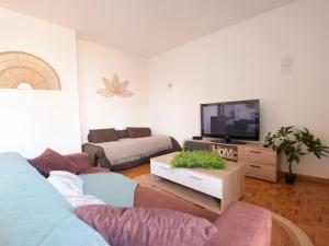埃维昂莱班Appartement Évian-les-Bains, 2 pièces, 4 personnes - FR-1-498-72的带沙发和电视的客厅