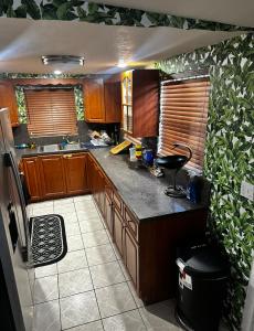迈阿密mary jane room的厨房配有木制橱柜和台面