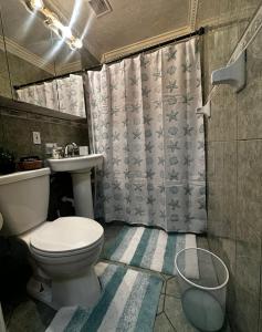 迈阿密mary jane room的一间带卫生间和水槽的浴室