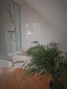 奥斯赛拜-屈隆斯博恩Villa Ludwigsburg的带淋浴的浴室和植物