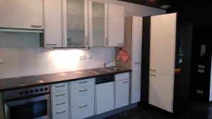 美因河畔霍海姆海姆缅因公寓的厨房配有白色橱柜、水槽和冰箱。