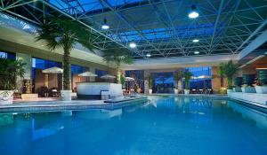 西安西安索菲特人民大厦的一座棕榈树大型游泳池