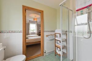 Calverstown烟屋住宿加早餐旅馆的带淋浴和镜子的浴室