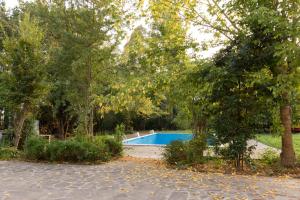 Sala BologneseCa'stello23的一座树木繁茂的庭院内的游泳池