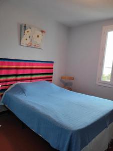 勒拉旺杜Maison 4 face a la mer grand Jardin Ideal Famille avec pluri Animaux Saint Clair Le Lavandou的一间卧室配有一张带蓝色毯子的床