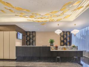 Hanting Hotel Nanjing Jiangning Binjiang Development Zone Park大厅或接待区