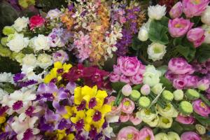 清迈RoomQuest Chiang Mai Tha Sala的一群不同类型的花簇